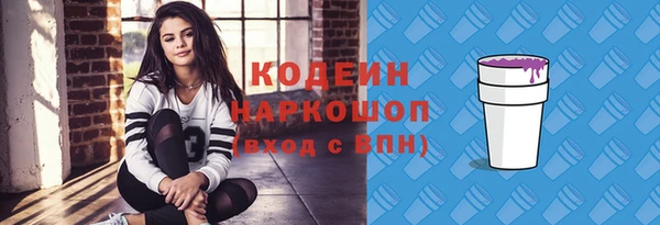 ГАЛЛЮЦИНОГЕННЫЕ ГРИБЫ Гусев