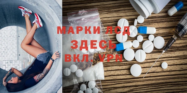 ГАЛЛЮЦИНОГЕННЫЕ ГРИБЫ Гусев