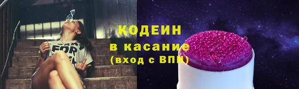 ГАЛЛЮЦИНОГЕННЫЕ ГРИБЫ Гусев