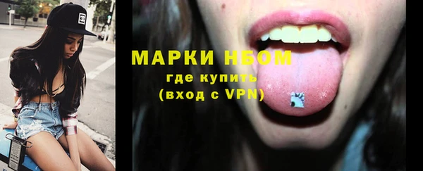 ГАЛЛЮЦИНОГЕННЫЕ ГРИБЫ Гусев
