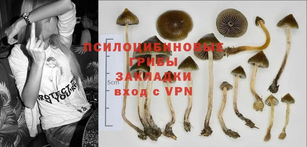 мяу мяу мука Гусиноозёрск