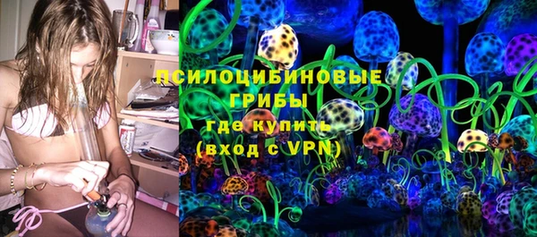 ГАЛЛЮЦИНОГЕННЫЕ ГРИБЫ Гусев